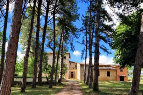 Borgo ai Pini